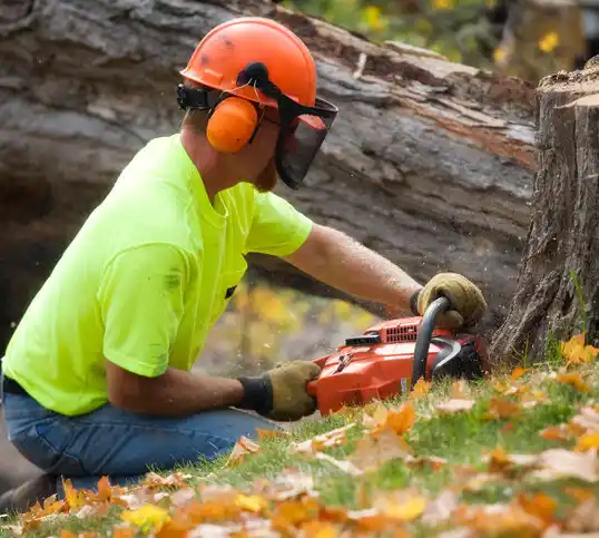 tree services Hayfield